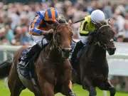 Aidan O'Brien's Royal Ascot hope The Lion In Winter fatally injured