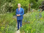 Alan Titchmarsh Urges Gardeners to Use Verbena bonariensis for Summer Blooms