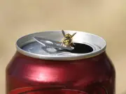 Amazon Shoppers Hail £4 Gadget That Keeps Bees and Bugs Out of Drinks