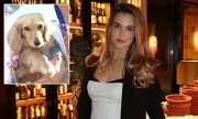 Anna Kalinskaya's Dog Forces Boyfriend to Leave French Open Match