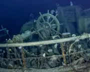 Antarctic Wreck Endangerment Sparks Underwater Protected Area Push
