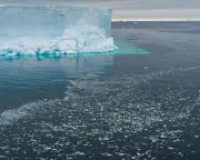 Antarctica Missing Sea Ice Size of France in Bellingshausen Sea
