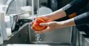 Apples Stay Fresh for 6 Weeks with Simple Newspaper Storage Hack