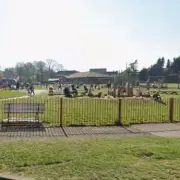 Asylum Seeker Jailed 14 Years for Raping Vulnerable Woman in Park