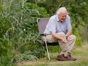 Attenborough Urges Gardeners: Bell Cats, Feed Birds Now