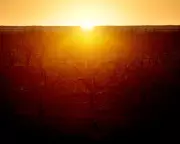 Australia Bracing for Imminent El Niño as Weather Models Align