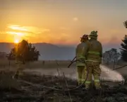 Australia Faces Likely Record-Breaking Summer Heat After Warm Winter Start