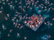 Australia’s Best Photos of June 2026: Politics, Sport, Nature and More