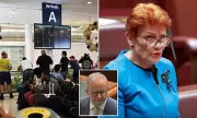 Australia's Population Surpasses 28 Million Amid Migration Surge