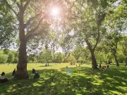 Avoid Cold Showers in UK Heatwave as They May Make You Hotter, Experts Warn