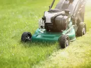 Avoid Mowing Lawns in Early Morning to Prevent Clumpy Patches
