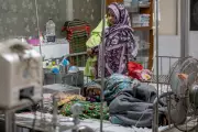 Bangladesh Measles Death Toll Surpasses 600 in Ongoing Outbreak