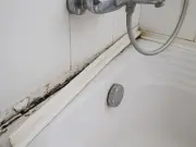 Banish Black Mould from Bathroom for Good with £1 Miracle Product