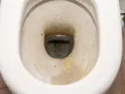 Banish Brown Toilet Stains with Citric Acid or Pumice Stone
