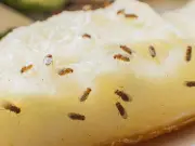 Banish Fruit Flies Forever with 5p Kitchen Cupboard Trick