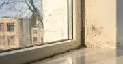 Banish Mould from Windowsills with Two Common Kitchen Items