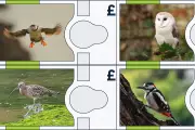 Bank of England Seeks Public Views on New Wildlife Banknotes