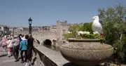 Bath: The Underrated UK City Tourists Say 'Feels Like Italy' – Not Cambridge or Oxford