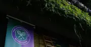 BBC Confirms Wimbledon Presenter Replacement as Jack Draper Withdraws