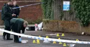 Belfast Stabbing: Man Hospitalised, Police Arrest Suspect in North Belfast