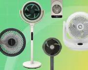 Best Fans to Keep You Cool in 2026: Tried and Tested Reviews