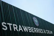 Best Food and Drink to Bring to Wimbledon 2025: Picnic, Wine & Snacks
