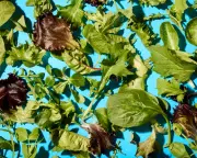 Best Supermarket Salad Bags Tasted and Rated: From G's to Aldi