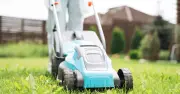 Best Time to Mow Lawn in Heatwave to Avoid Yellow Weak Grass