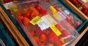 Best Time to Visit M&S for Yellow Sticker Discounts Revealed by Ex-Employee