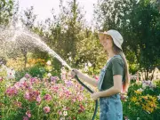 Best Time to Water Garden in Heatwave: Experts Agree on Early Morning or Evening