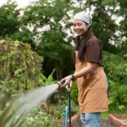 Best Time to Water Garden Plants in June: Evening, Not Morning