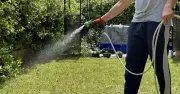 Best Time to Water Plants in Summer: Experts Agree on Morning or Evening