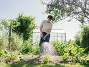 Best Time to Water Plants Isn't Morning, Say Gardening Experts