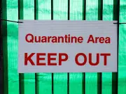 BHA Issues Equine Flu Warning After New Case Confirmed in Shropshire