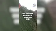 Birmingham Man Jailed 14.5 Years for Scalding Police Officer with Boiling Water