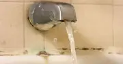 Black Mould in Bathrooms: £1 Silicone Strip Solution Stops Recurrence