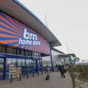B&M fans rush to buy 'timeless' armchair £439 cheaper than Dunelm