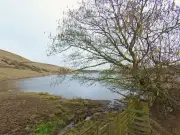 Body Found in Search for Missing Swimmer at Long Loch in Angus