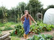 Boost Soil Health with Kitchen Scraps: Expert Tips