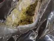 Border Force Seizes 12 Tonnes of Cannabis in Record £139m Bust