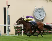 Bow Echo Holds Off Gstaad to Stay Unbeaten in Royal Ascot Thriller