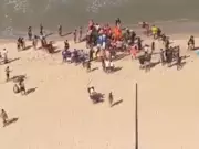Boy, 11, Loses Leg in Shark Attack on Crowded Brazilian Beach