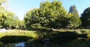 Boy, 14, Among Three Arrested for Murder of 21-Year-Old in UK Park