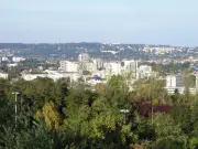 Boy, 3, Found Dead in Hot Car During 44C French Heatwave