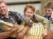 Boy Thrown into Crocodile Enclosure: Zoo Owner's Family 'Distraught'