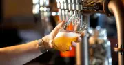 BrewDog offers £1m free pints if England, Scotland or US reach World Cup final