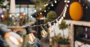 'Bright' Garden Lights That Make Evening Sitting a Pleasure Now on Sale