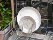 British Gas Engineer Reveals Quick Dishwasher Fix for Food Residue Issue