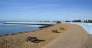 Brits Urged to Avoid UK Beach After Rare Whale Carcass Discovery