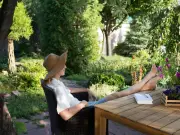 Brits Urged to Use Garden Fans to Deter Mosquitoes This Week